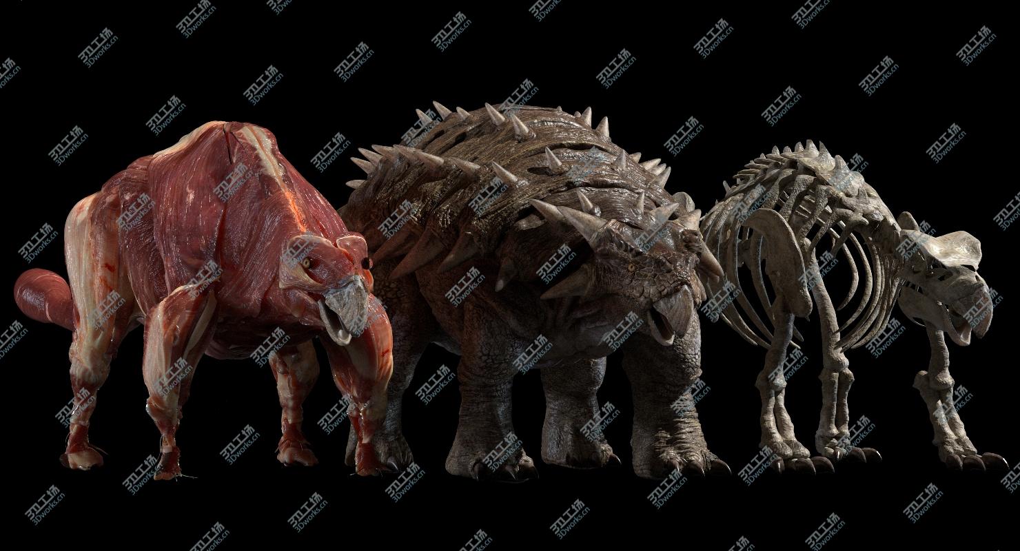 images/goods_img/20210319/Ankylosaurus Anatomy 3D model/4.jpg